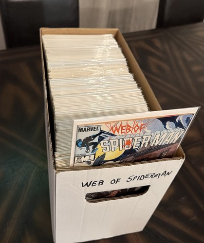 Web spider man lotto - of, spider-man