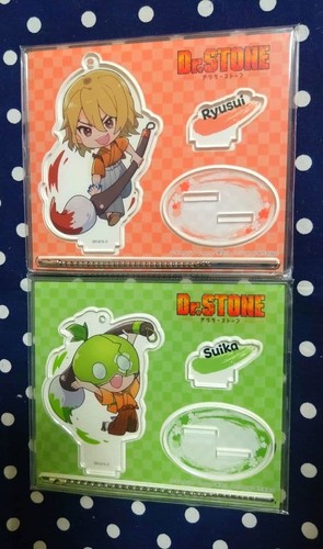 Stone supporto acrilico - dr.stone,
