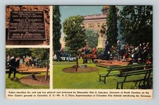 Quercia da sughero piantata