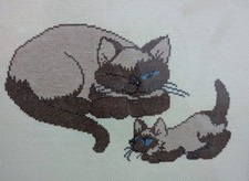 Gatto siamese vintage punto