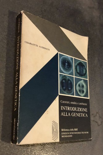 Auerbach introduzione alla - introduzione,