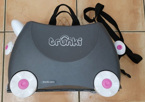 Benny the cat - the, trunki