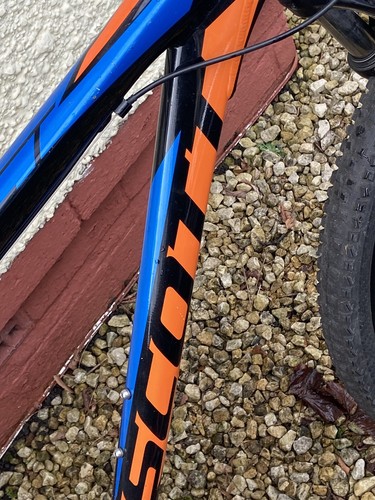Aspetto scott - aspetto,
