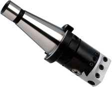 TESTA TESTINA PER ALESARE