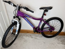 Muddyfox Divine 100 Mountain