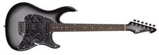Peavey Raptor® Custom