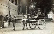 Bambina su carrozza mulo. Fotografia d'epoca belle arti. 1909, Italia