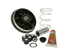 Variatore MALOSSI Multivar