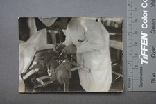 1950s ODD Photo Mummy Anatomy