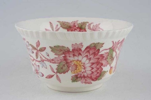 Spode aster s - -, spode's