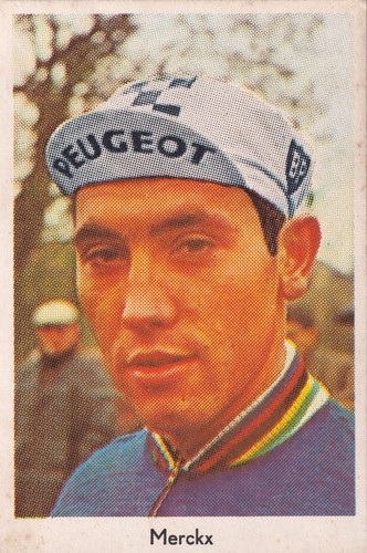 Scheda ciclismo eddy - scheda,