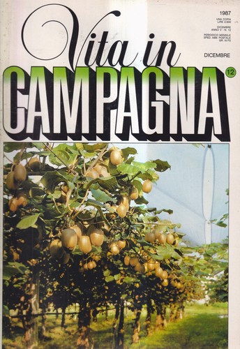 Vita campagna dicembre - in, 12