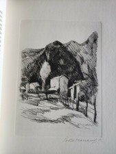 Paolo Manaresi Terra d'Emilia