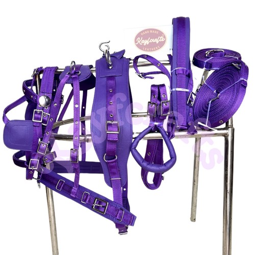 Set imbracatura guida cavalli - imbracatura,