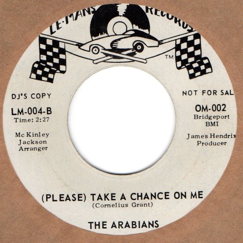 Arabians please take chance - please,
