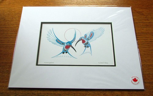 Colibrì tuchone - -,
