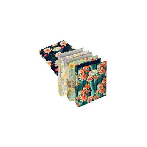 Raccoglitore nature flowers - raccoglitore,