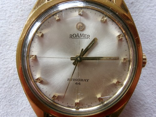 Roamer stingray - roamer,
