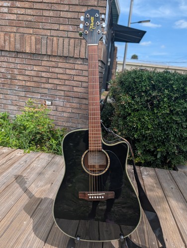 Takamine series eg531ssc - g,