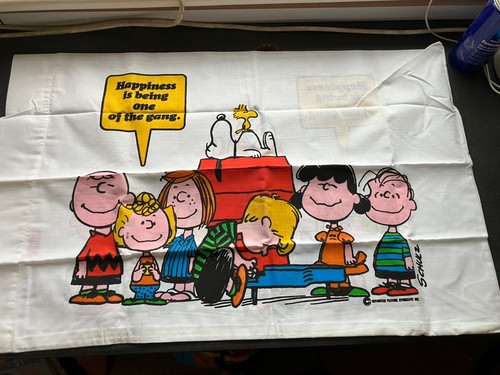 Vintage peanuts snoopy charlie - vintage,