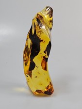 GRANDE insetto d'ambra