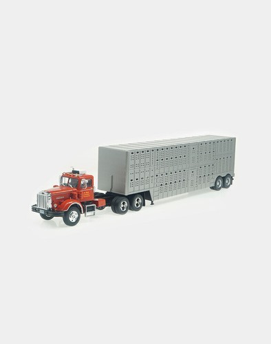 Camion semirimorchio americano