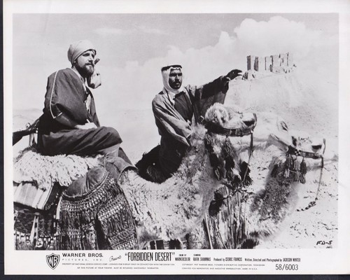 Rafik shammas ahmed abdallah - shammas,