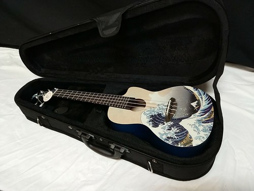 Ukulele acustico concerto - ukulele, luna