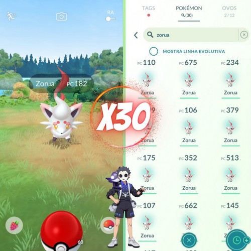 Hisuian zorua pokémon - hisuian, (x30)