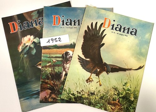 Lotto riviste caccia diana - 3,