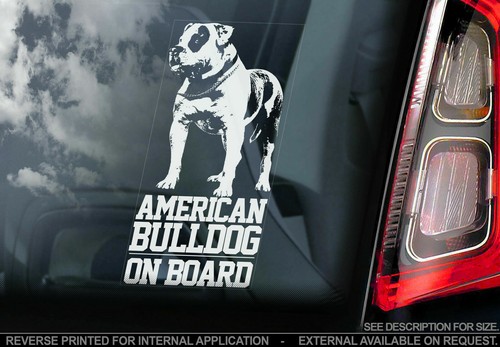 Adesivo auto bulldog - adesivo,