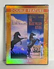 The Black Stallion & Black