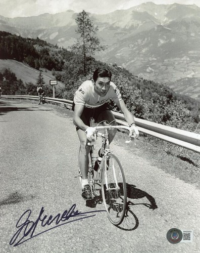 Foto firmata eddy merckx - eddy, 8x10