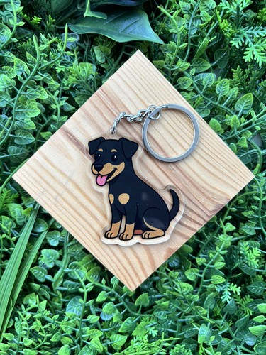 Tri jack russell - tri,