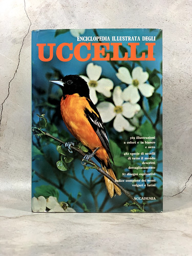 Enciclopedia illustrata degli - illustrata,