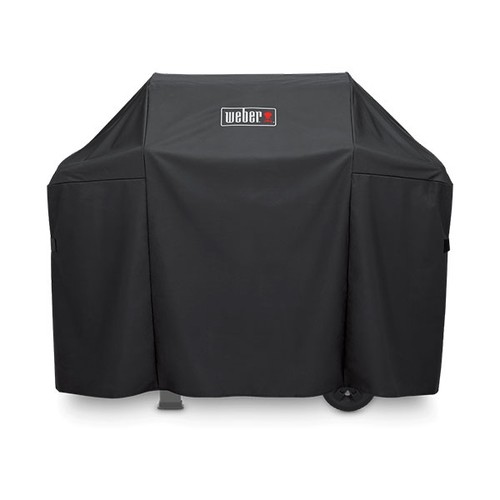 Custodia per barbecue - barbecue, spirit