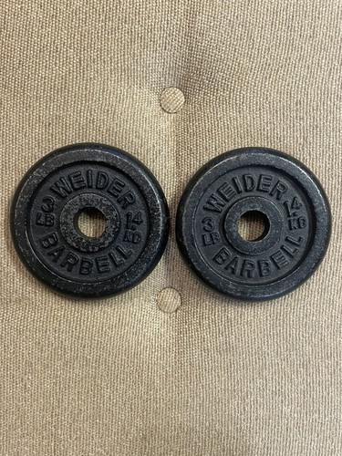Coppia piastre pesi standard