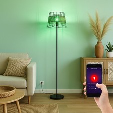 Lampada Da Terra CCT Smart