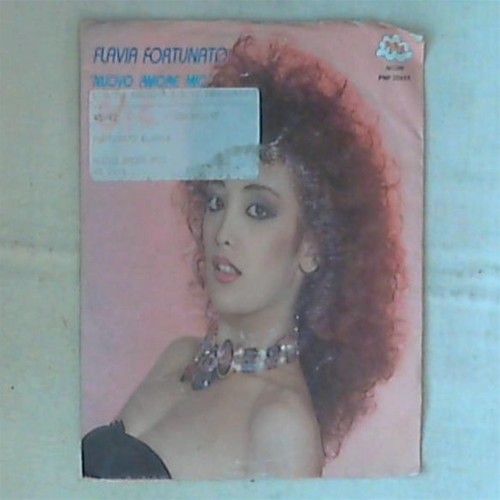 Flavia fortunato nuovo amore - -,