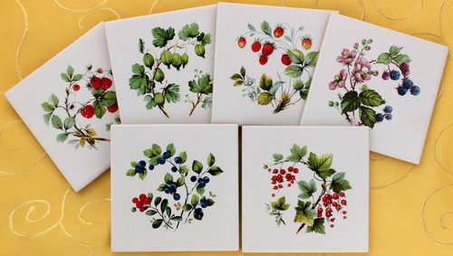 10x10 piastrelle decorazione
