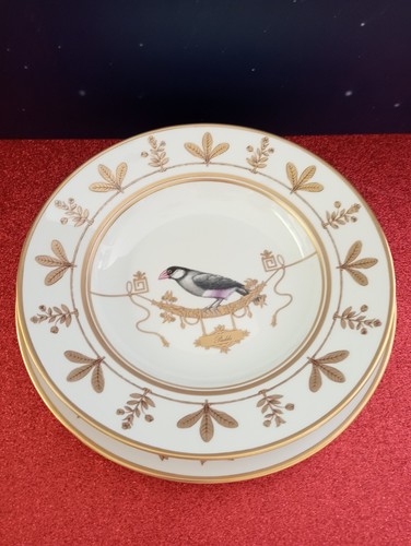 Ginori 1735 volière - , 1