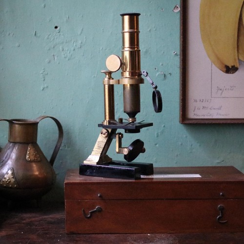Antique brass field microscope - antique,