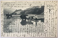 >>> BOLOGNA viaggiata 1903 COSTUMI campestri carro buoi lavoro campi Felizzano