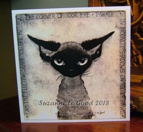 Devon rex cat ghost - cat,