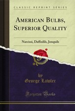 American Bulbs, Superior