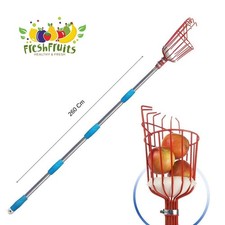 Raccoglitrice di Frutta Estensibile Agricoltura Orto con Cestino Raccolta 260 Cm
