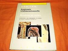 anatomie tridimensionnelle :  membres et rachis  axone