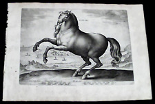 1580-RARA-APPVLVS-PUGLIA-STRADANO-STRADANUS/JAN VAN DER STRAET-HORSES-CAVALLI
