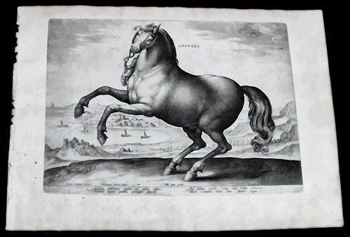 1580-RARA-APPVLVS-PUGLIA-STRAD