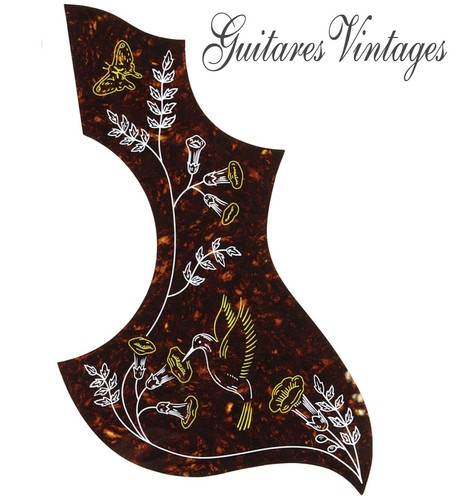 Pickguard type gibson - pickguard,